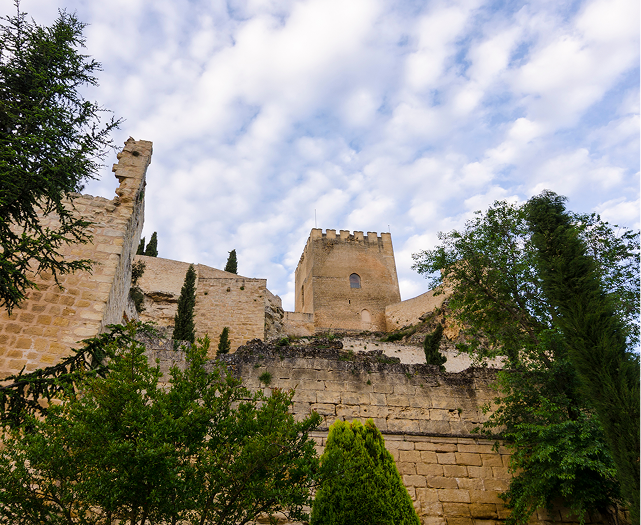 Vista de la parada Alcalá la Real